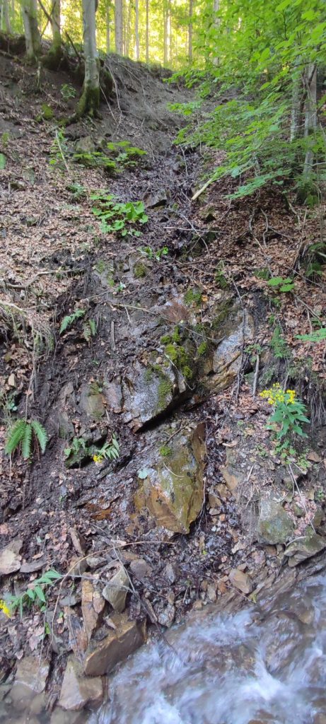 Prameň pod starou cestou, Černová 01