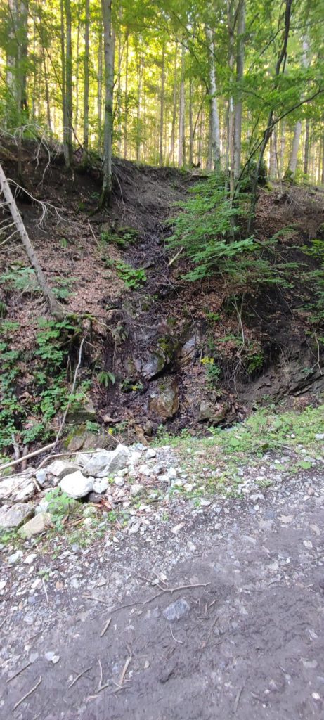 Prameň pod starou cestou, Černová 02