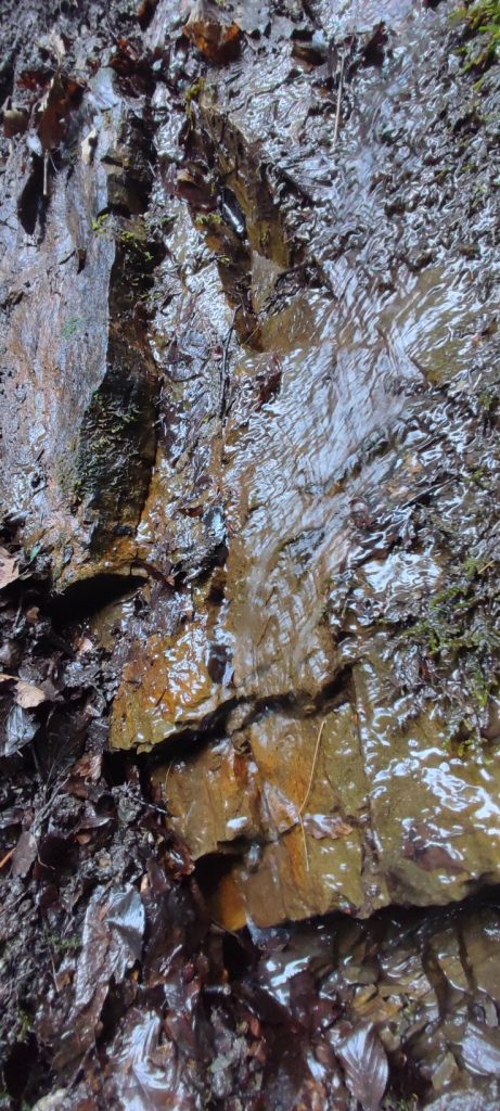 Prameň pod starou cestou, Černová 03