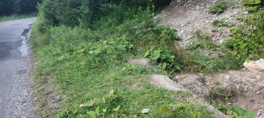 Prameň pri ceste pod Blatnivou, Černová 02