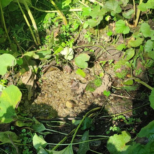 Prameň v dolinke pod Červenou skalou, Černová