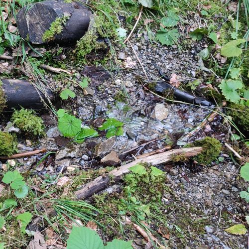 Prameň v starej ceste, Černová