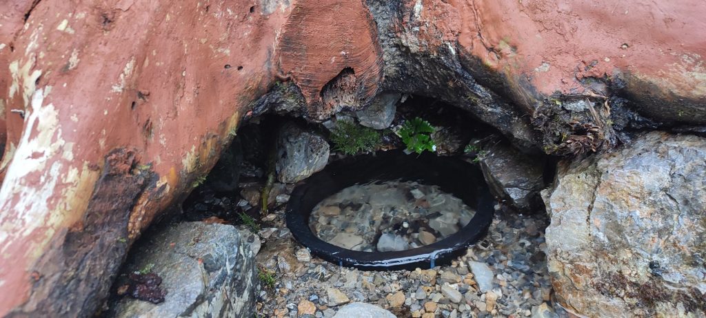 Studnička pod Dutkovou lúkou, Černová 03