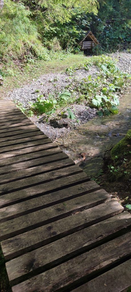 Studnička pod Jeleňou skalou, Černová 01