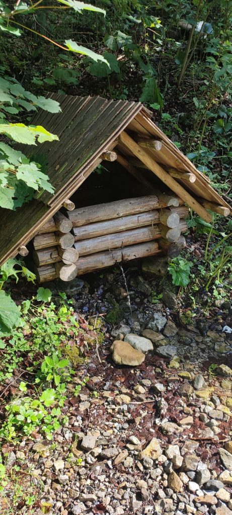 Studnička pod Jeleňou skalou, Černová 02