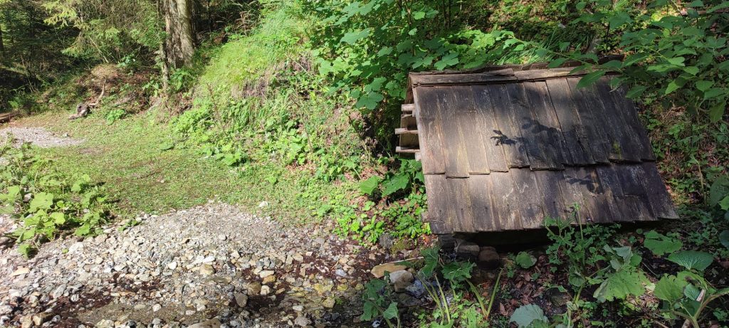 Studnička pod Jeleňou skalou, Černová 06