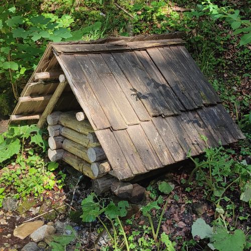 Studnička pod Jeleňou skalou, Černová