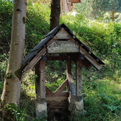 Studnička pod dubom, Černová