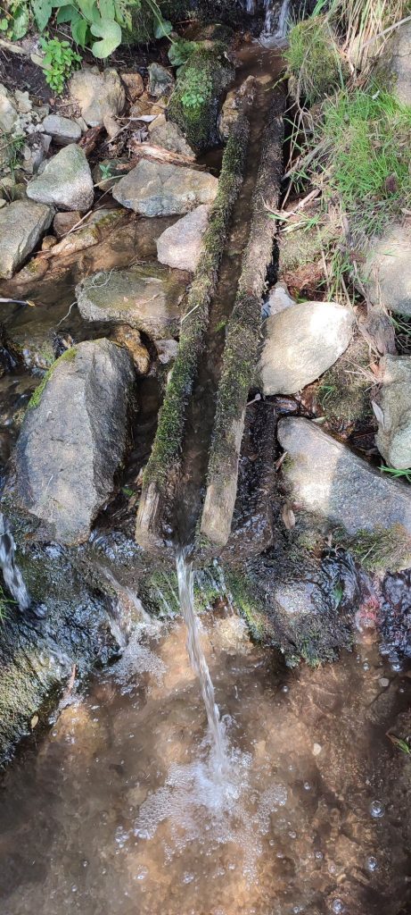 Žliabok pri cintoríne, Liptovská Lúžna 01