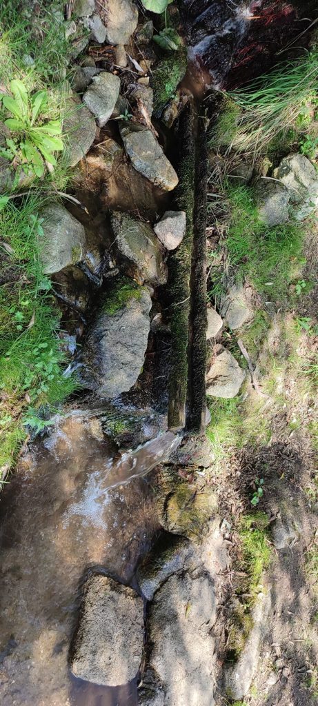 Žliabok pri cintoríne, Liptovská Lúžna 02