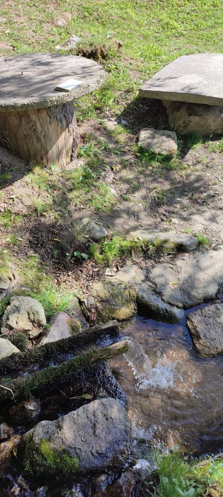 Žliabok pri cintoríne, Liptovská Lúžna 03