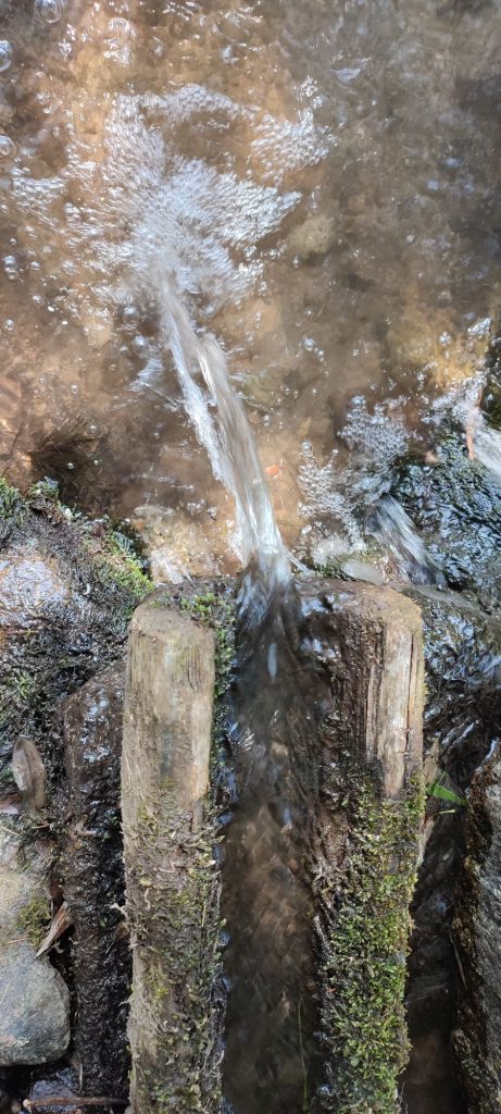 Žliabok pri cintoríne, Liptovská Lúžna 04