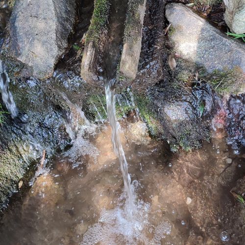 Žliabok pri cintoríne, Liptovská Lúžna