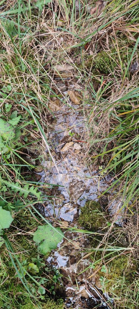 Prameň Chabenka, Liptovské Revúce - Vyšná Revúca 01