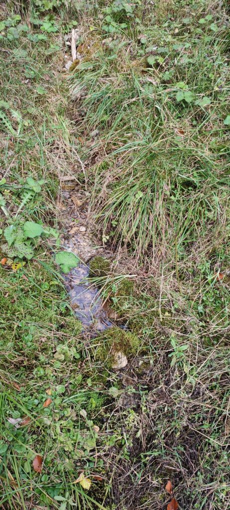 Prameň Chabenka, Liptovské Revúce - Vyšná Revúca 02