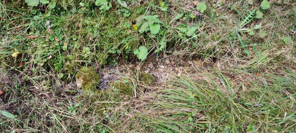 Prameň Chabenka, Liptovské Revúce - Vyšná Revúca 03