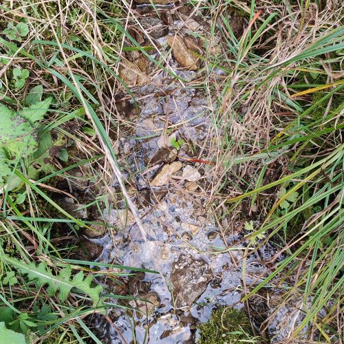 Prameň Chabenka, Liptovské Revúce – Vyšná Revúca