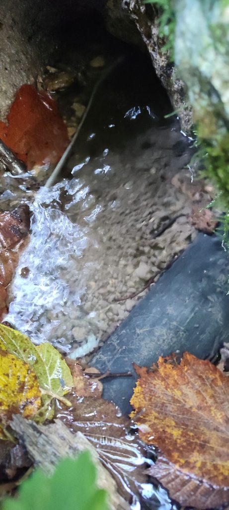 Prameň Lánového potoka, Hubová 02