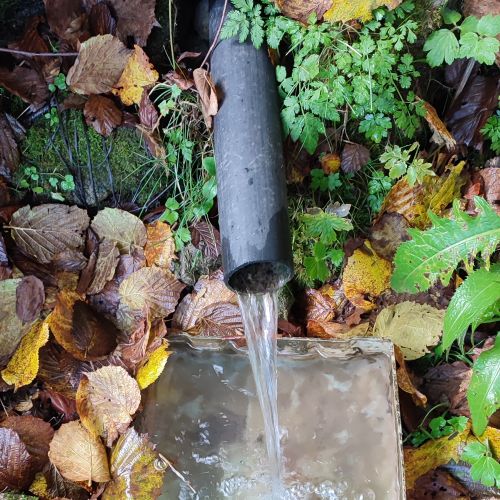 Prameň Lánového potoka, Hubová