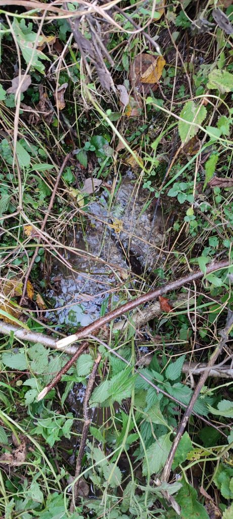 Prameň pod Kútnym vrchom, Hubová 01