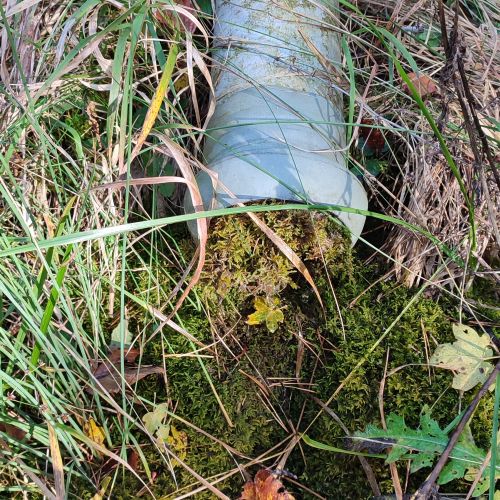 Prameň pod Sedlom Poľana 1, Hubová