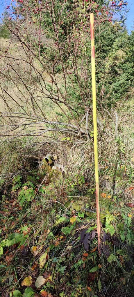 Prameň pod Sedlom Poľana 2, Hubová 01