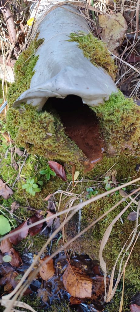 Prameň pod Sedlom Poľana 2, Hubová 02