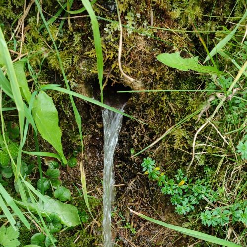 Výtok z vodojemu nad Včelárskou ulicou, Černová