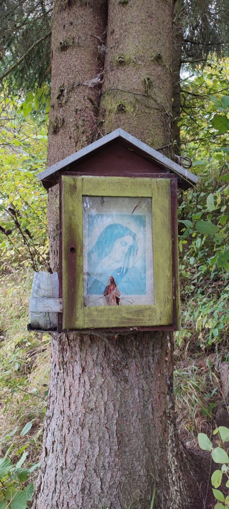 Zastavenie nad Včelárskou ulicou, Černová 01