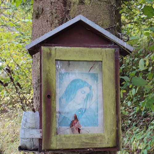 Zastavenie nad Včelárskou ulicou, Černová