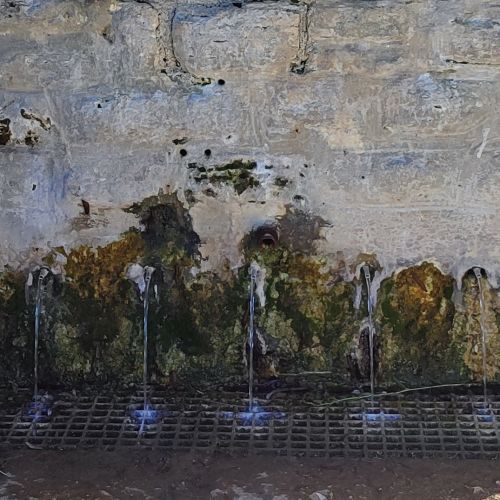 029 Minerálny prameň Teplica Liptovské Sliače