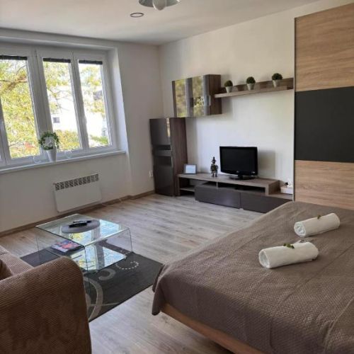 Apartmán RUŽA7